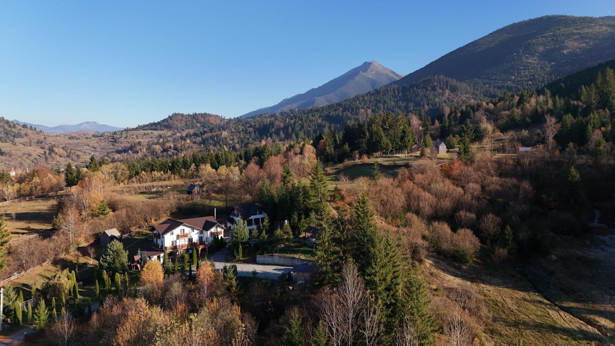 莫伊塞 Alpina Panoramic酒店 外观 照片